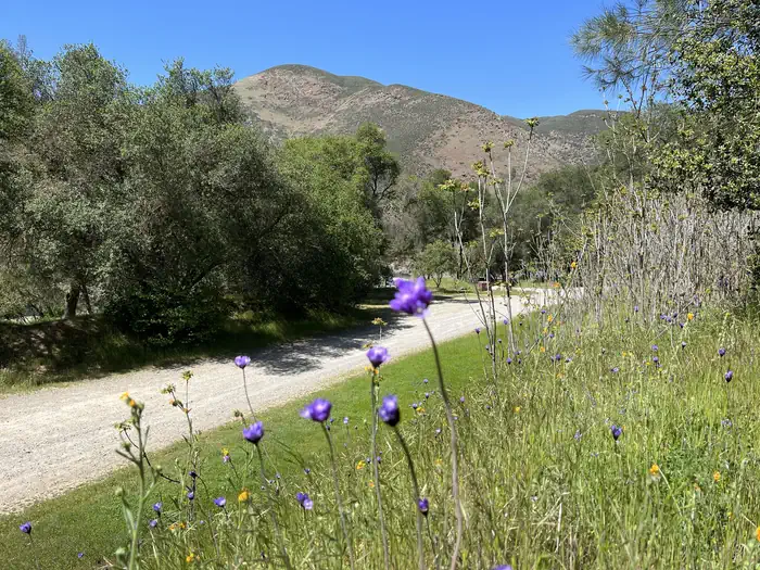 Railroad Flat Campground — Railroad Flat Campground—In the spring