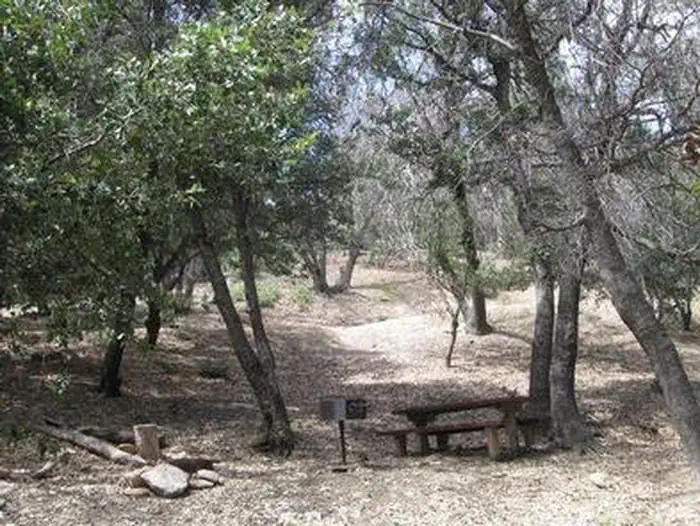 Fry Creek Campground — FRY CREEK CAMPGROUND