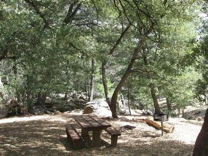 Fry Creek Campground — FRY CREEK CAMPGROUND