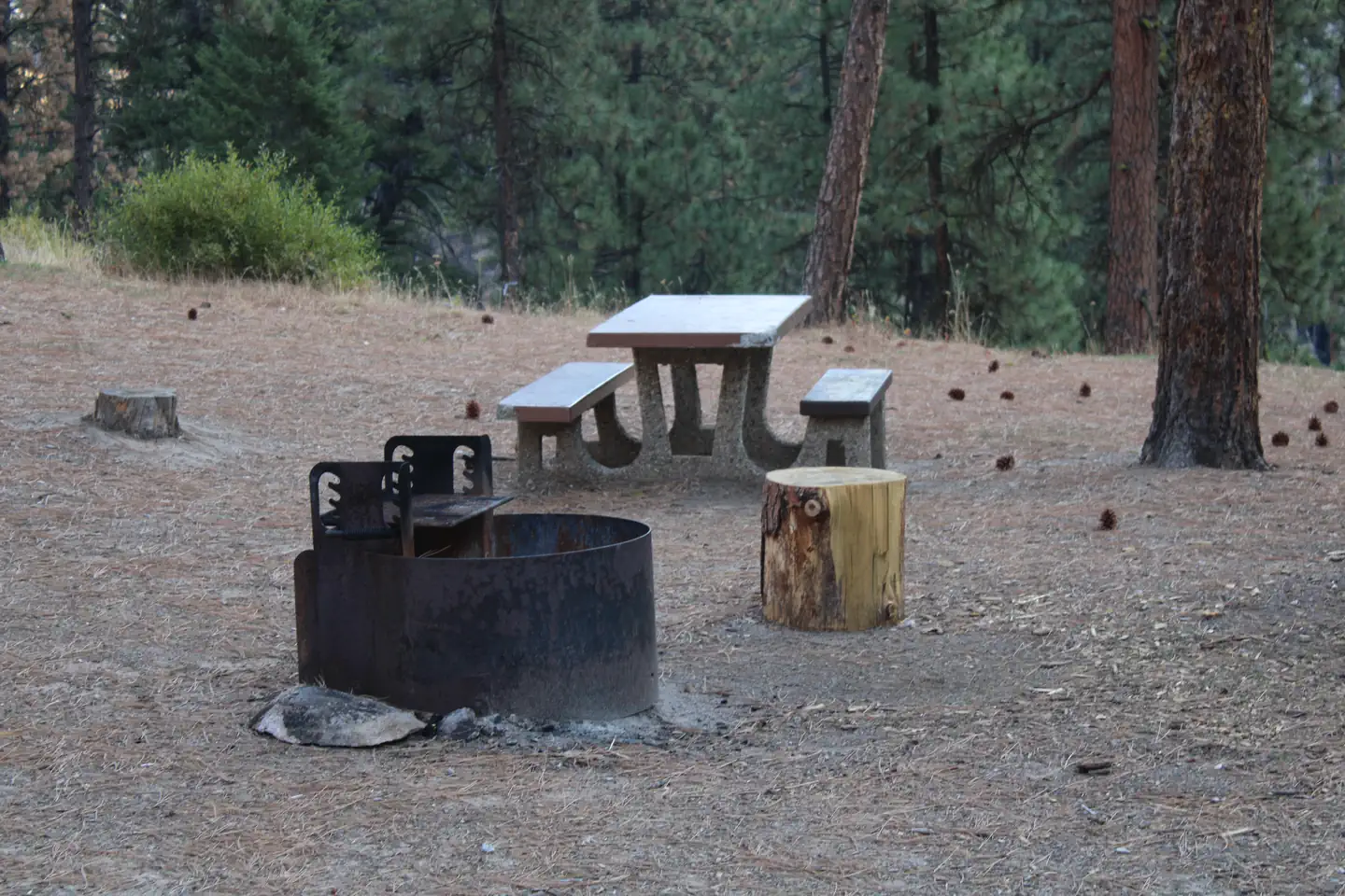 Pine Flats (ID) — Site picnic table and fire ring