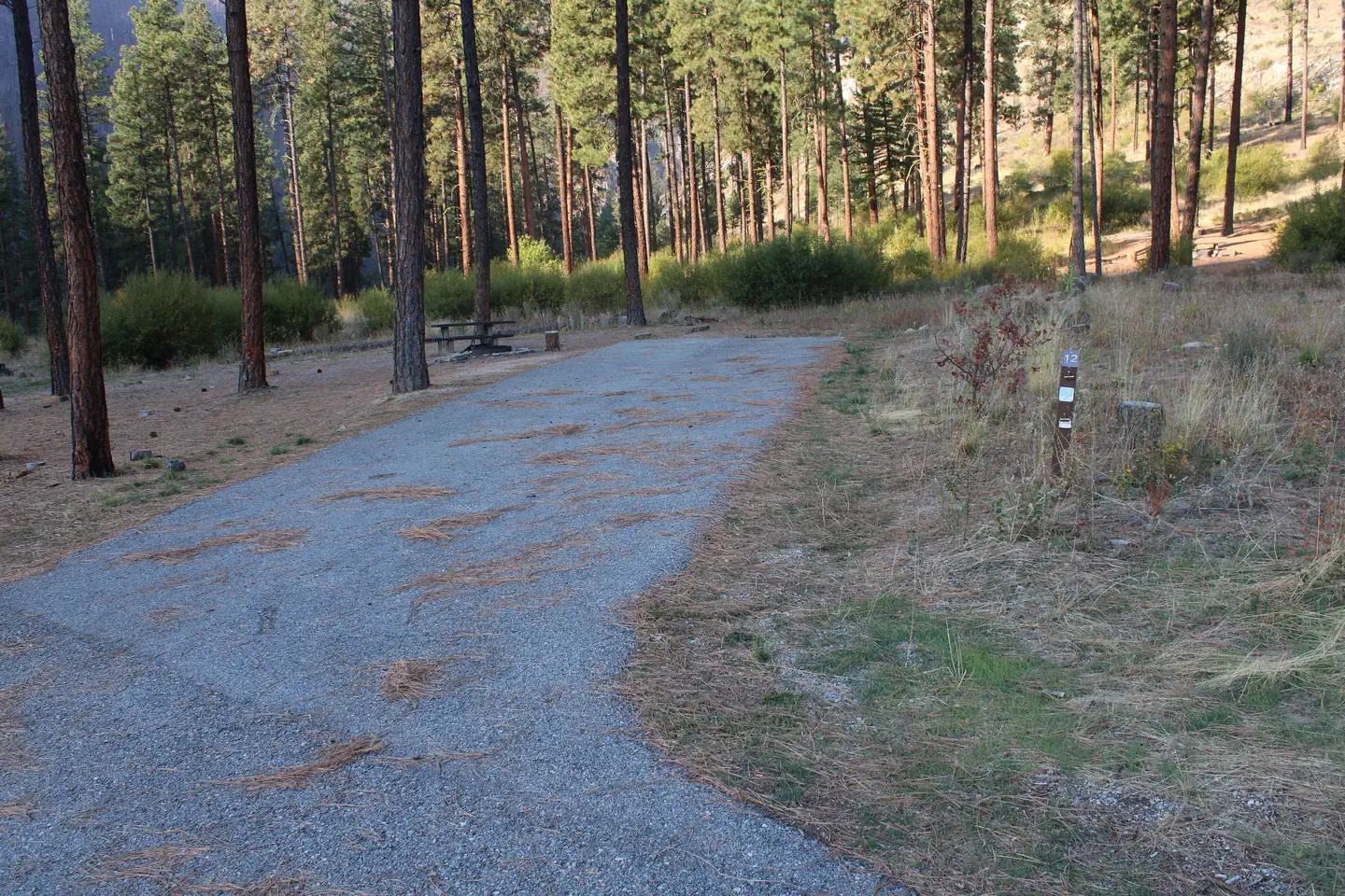 Pine Flats (ID) — Shaded campsite