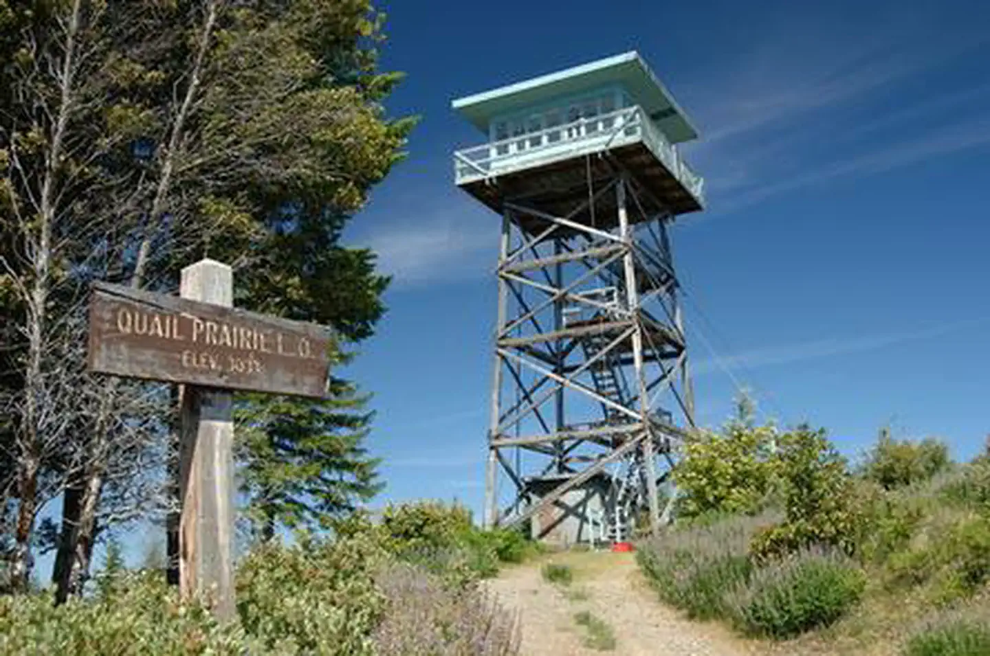 Quail Prairie Lookout — QUAIL PRAIRIE LOOKOUT
