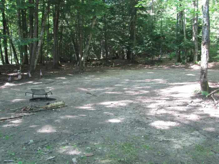 Minerva Lake Dispersed Campsite — MINERVA LAKE CAMPSITE