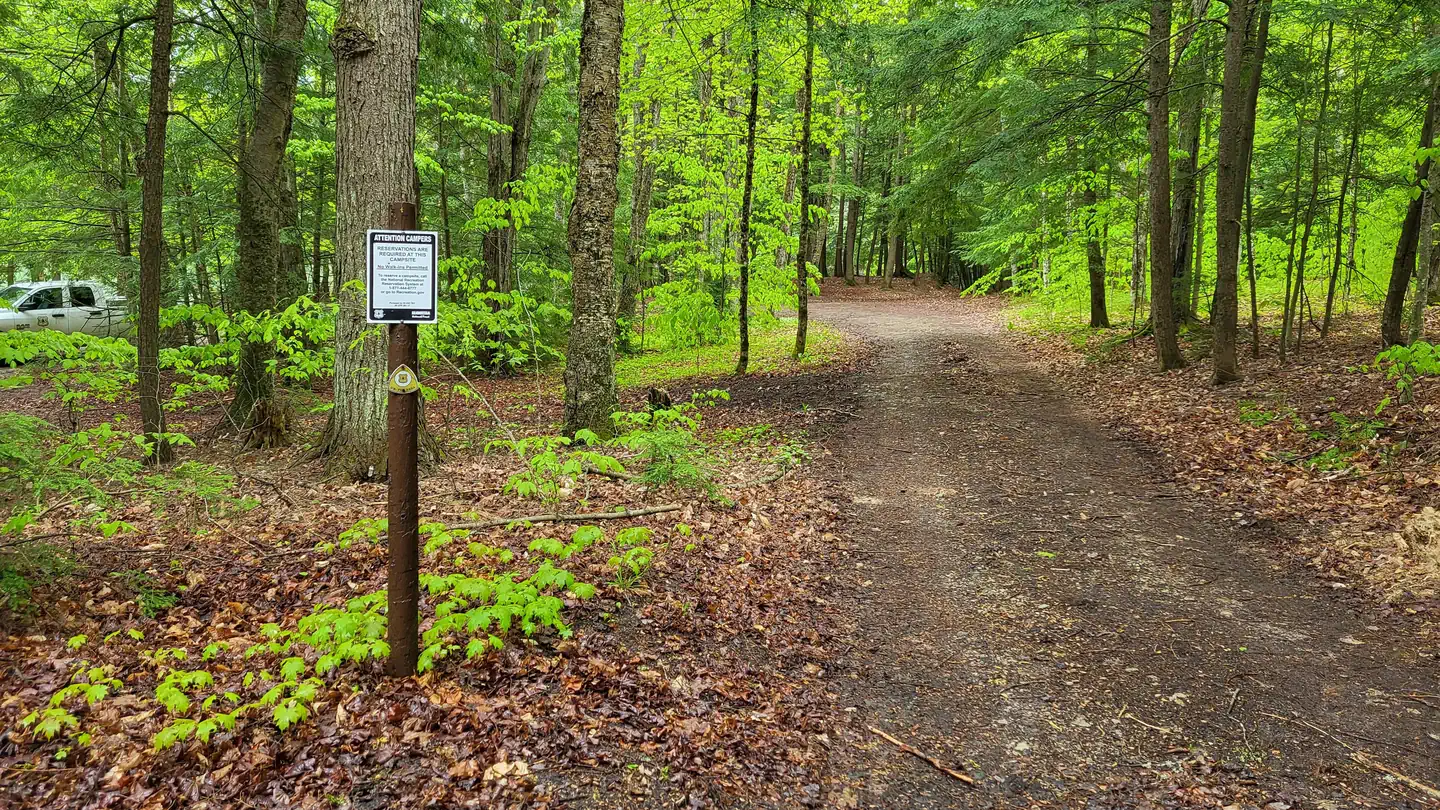Minerva Lake Dispersed Campsite