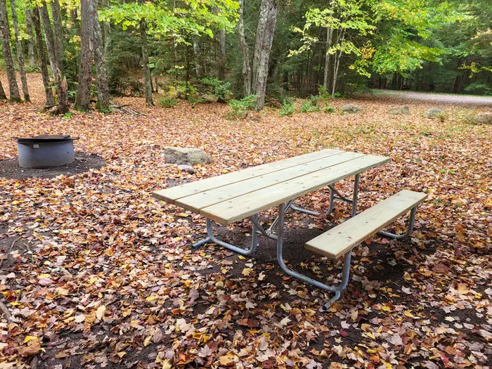 Minerva Lake Dispersed Campsite — Minerva Lake Campsite