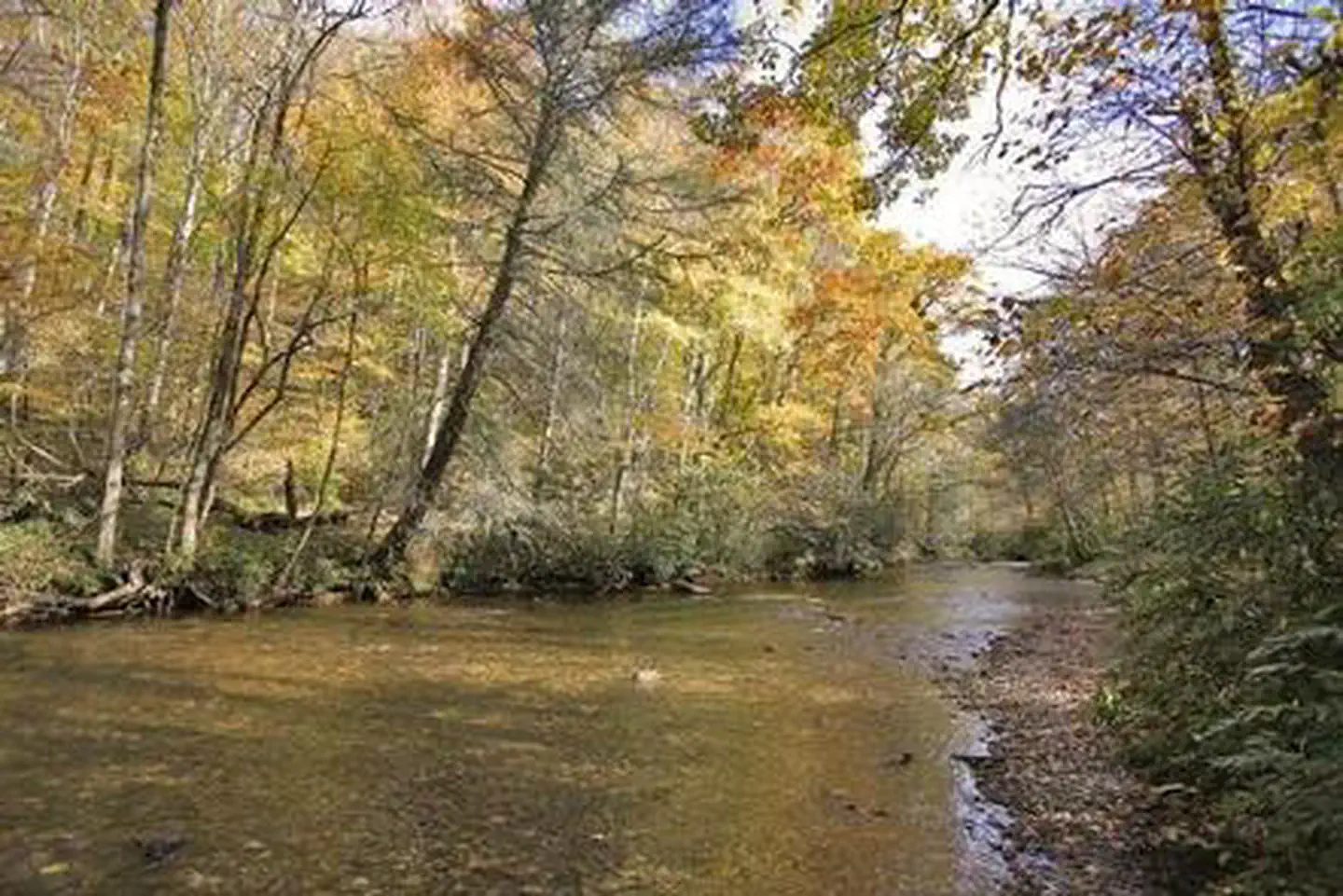 Standing Indian Campground — River at campground