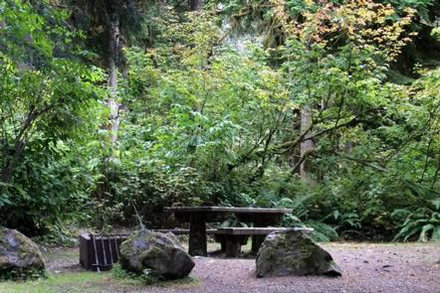 Shannon Creek Campground — Shannon Creek Campground