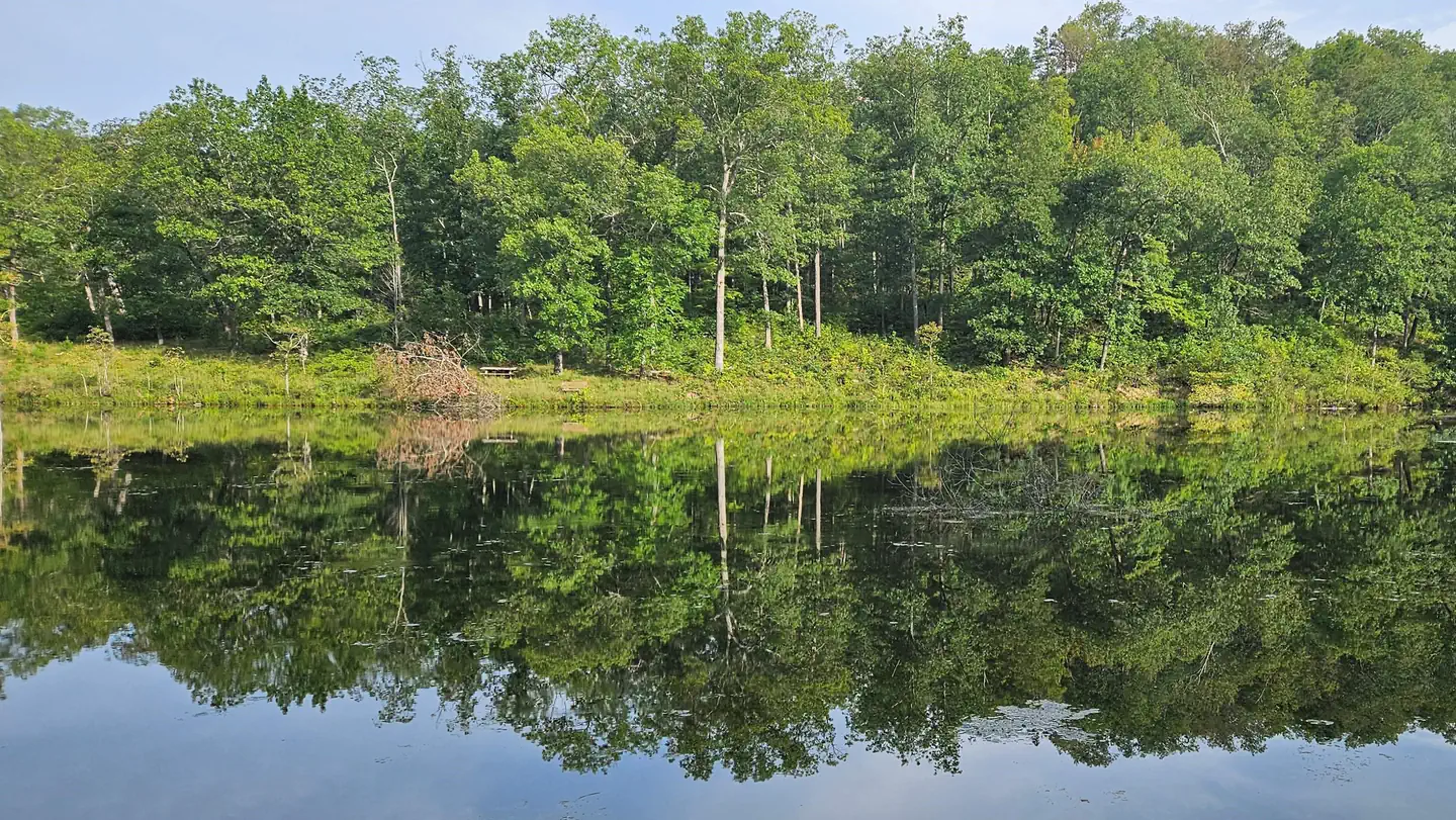 Loggers Lake