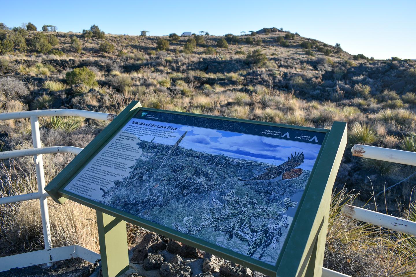 Valley Of Fires Recreation Area — Interpretive Sign