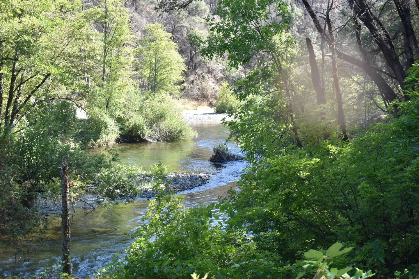 Peltier Bridge Primitive Campground — Clear Creek at Peltier Bridge Campground 2