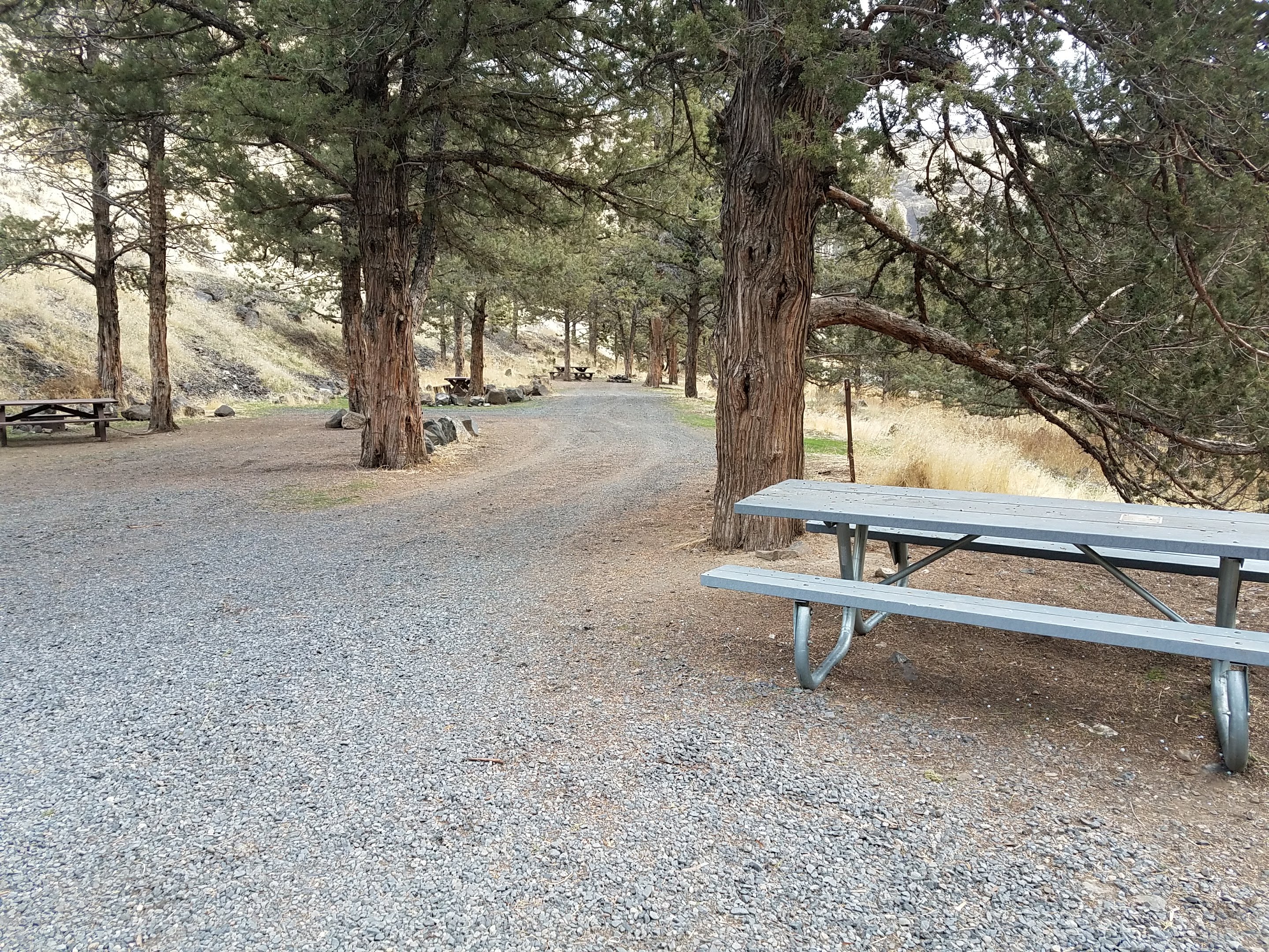 Poison Butte Campground — Campsites at Poison Butte Campground