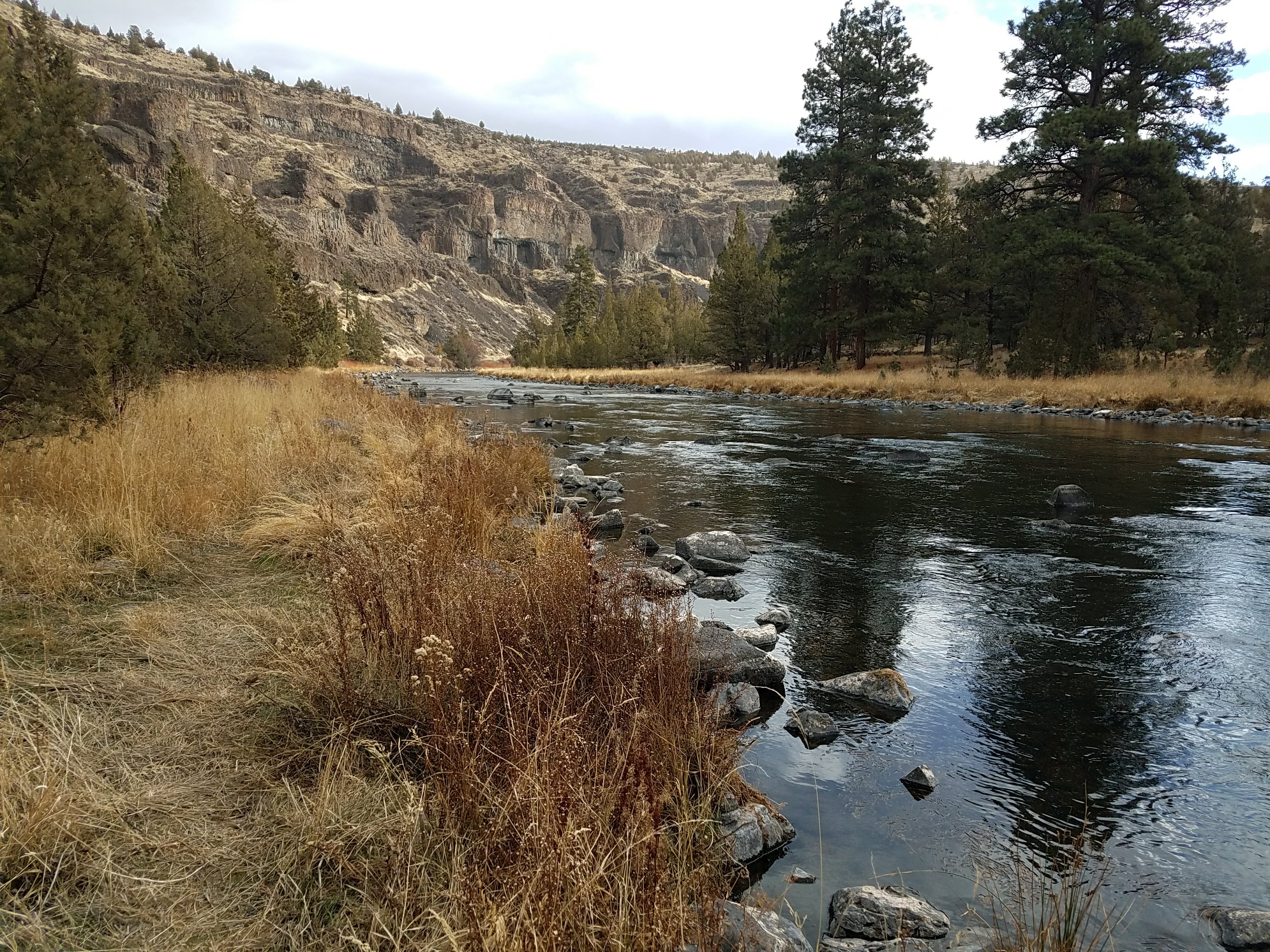 Poison Butte Campground