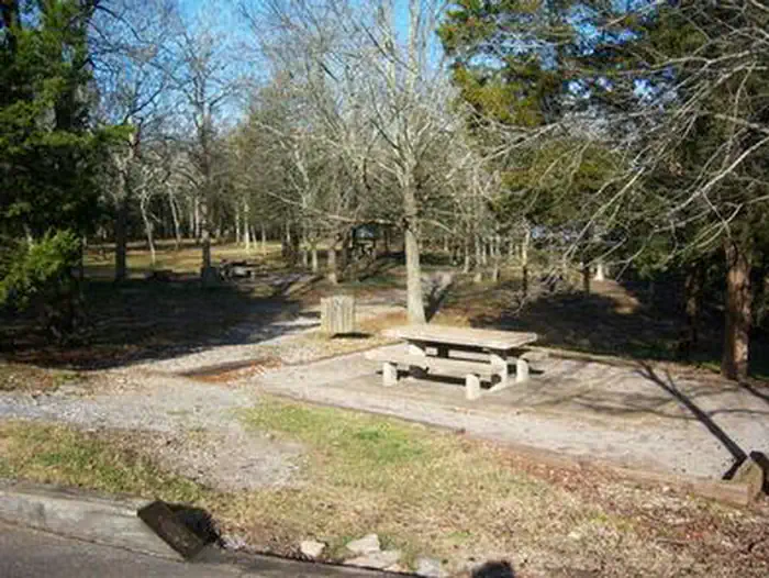 Smith Springs β SMITH SPRINGS - picnic area