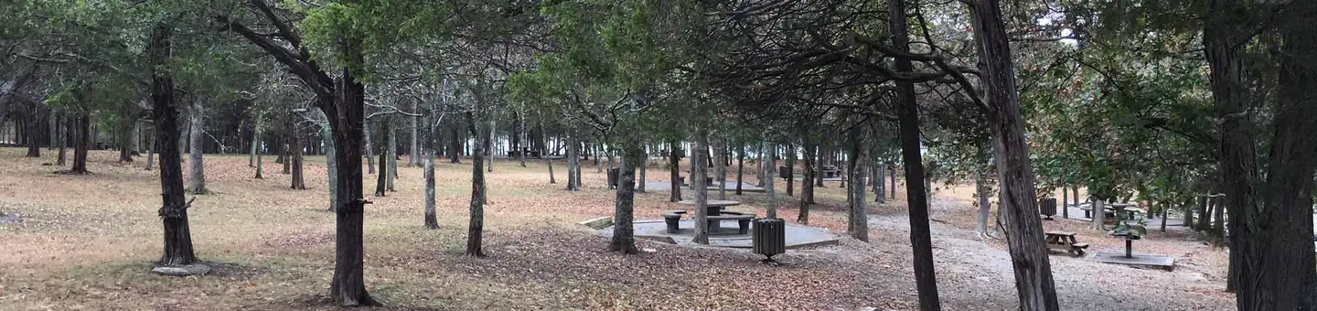 Smith Springs