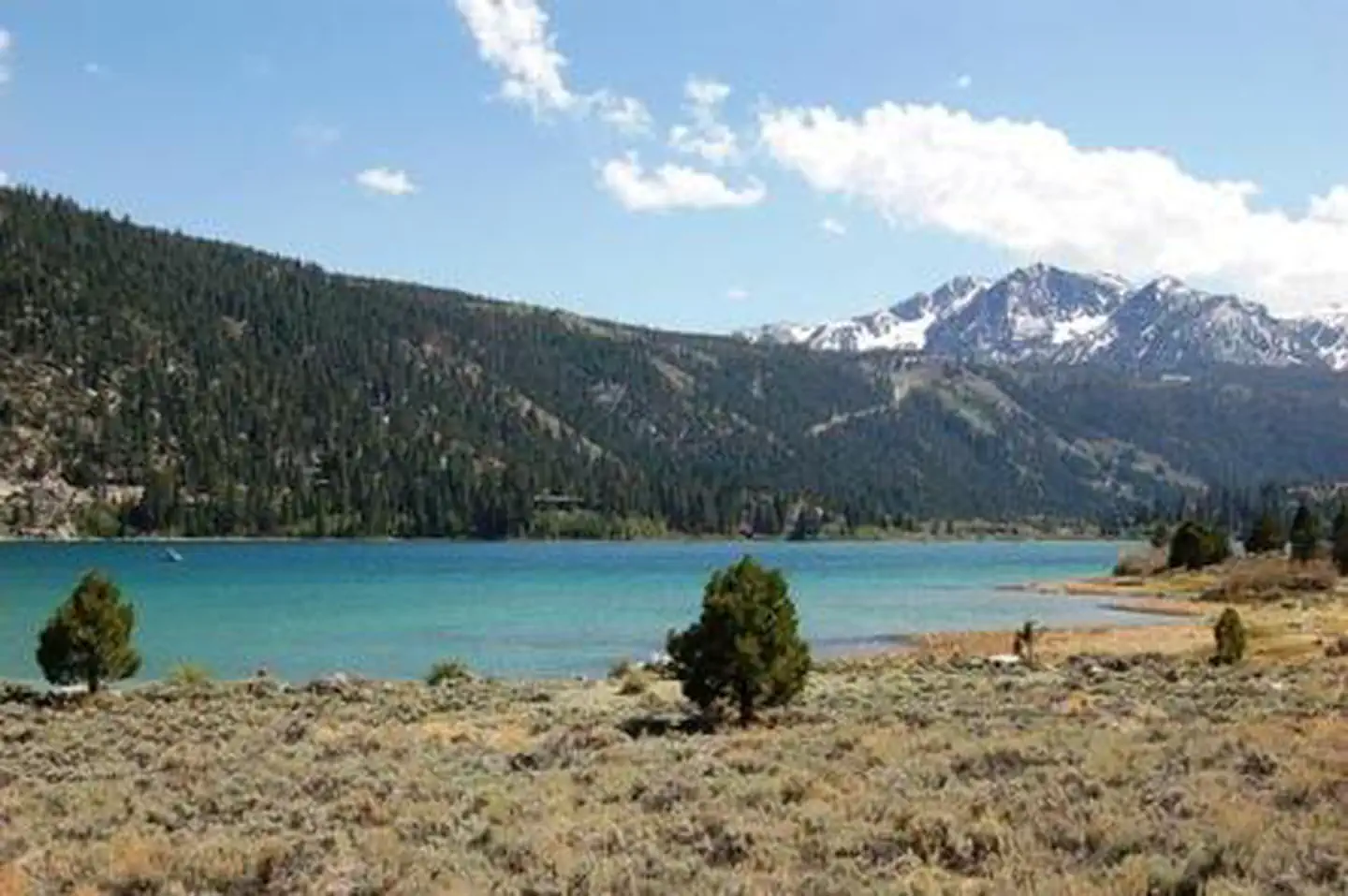 Oh! Ridge Campground — Oh Ridge Campground