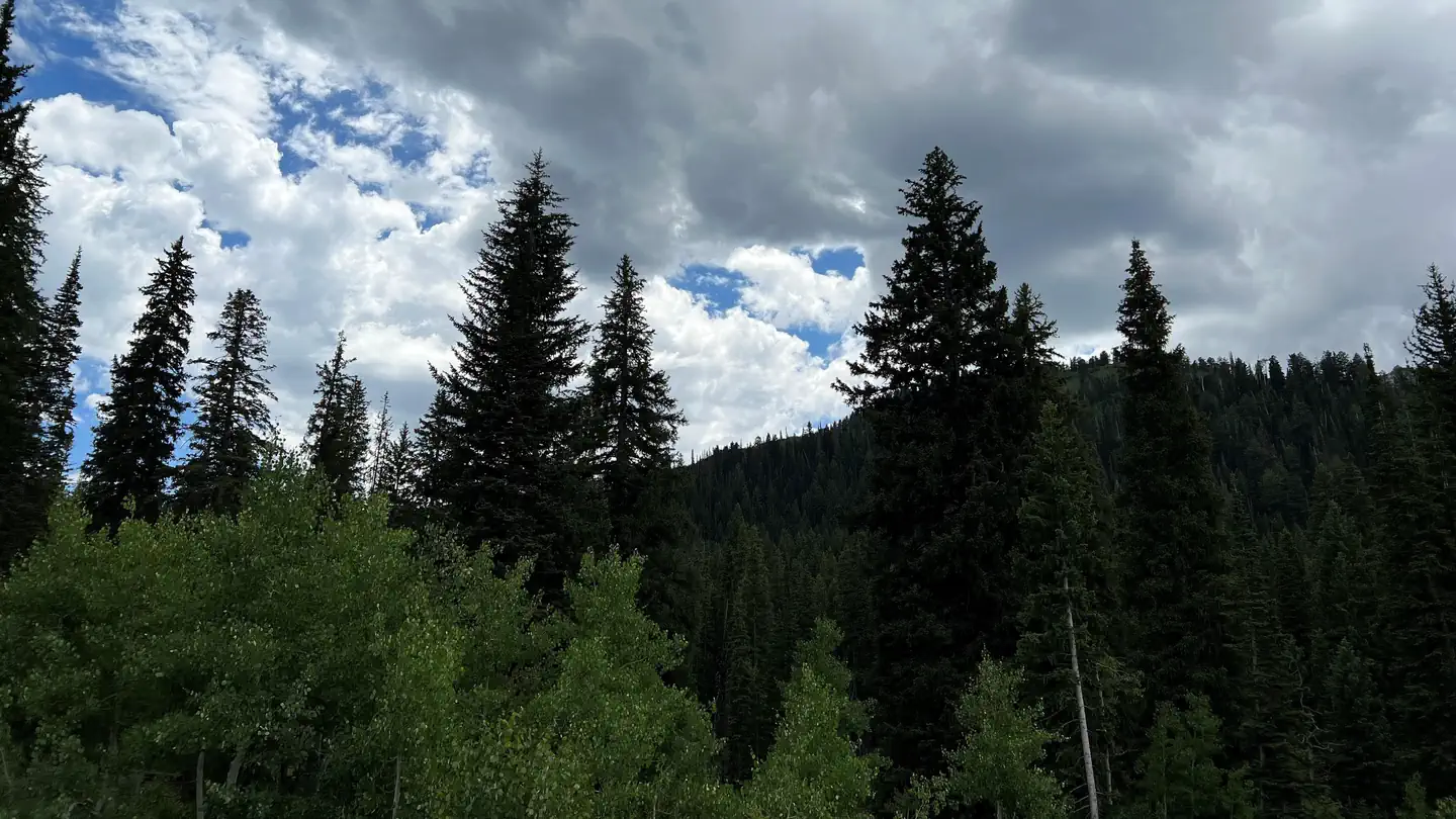 Redman Campground