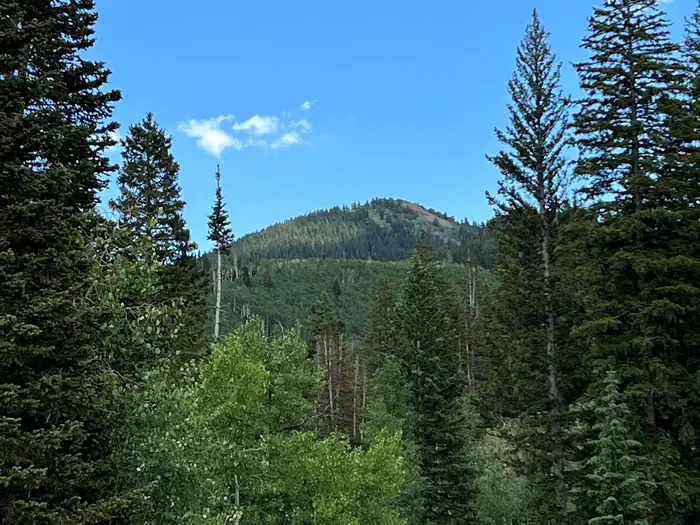 Redman Campground — Redman Campground