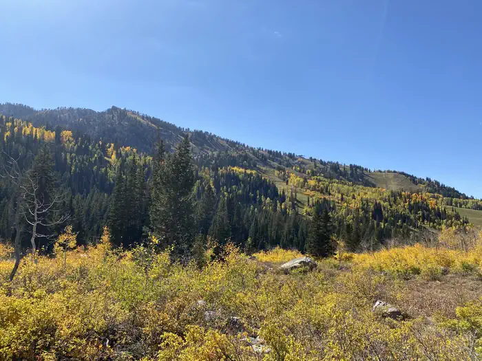 Redman Campground — A photo of facility REDMAN CAMPGROUND with No Amenities Shown