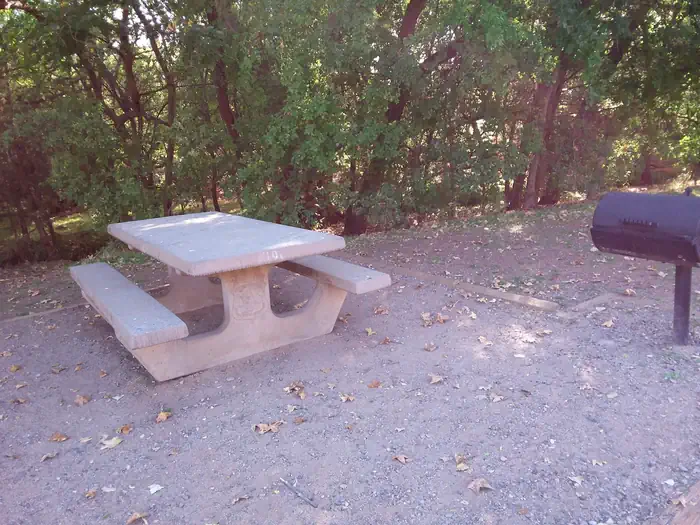Crescent Moon Ranch Cabin — Picnic table and grill.