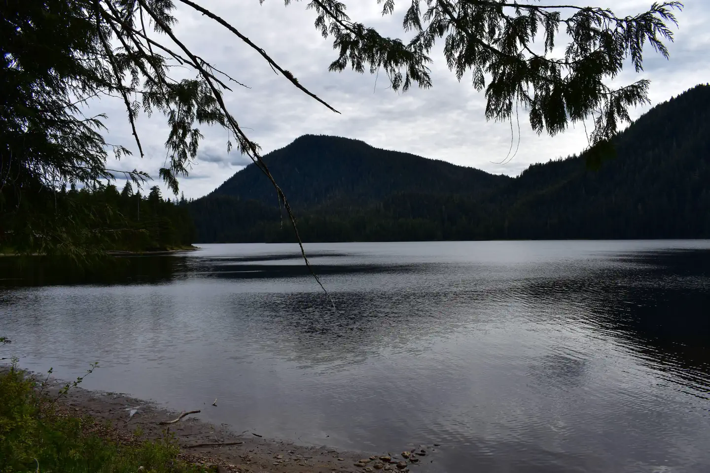 Plenty Cutthroat Cabin β Orchard Lake