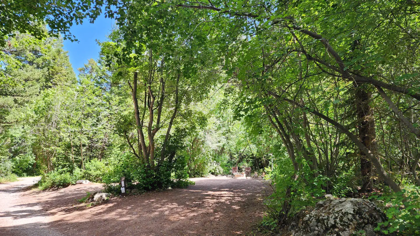 Malad Summit Campground — A campsite at Malad Summit