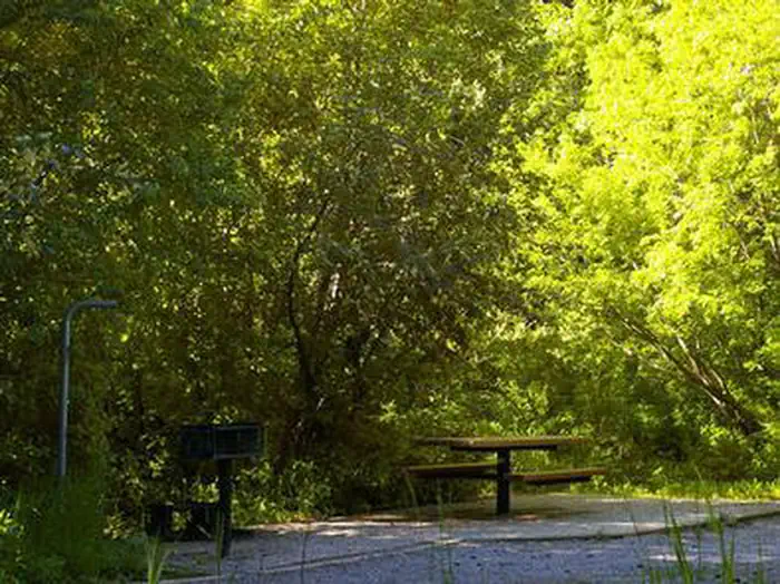 Malad Summit Campground — Tables at Malad Summit