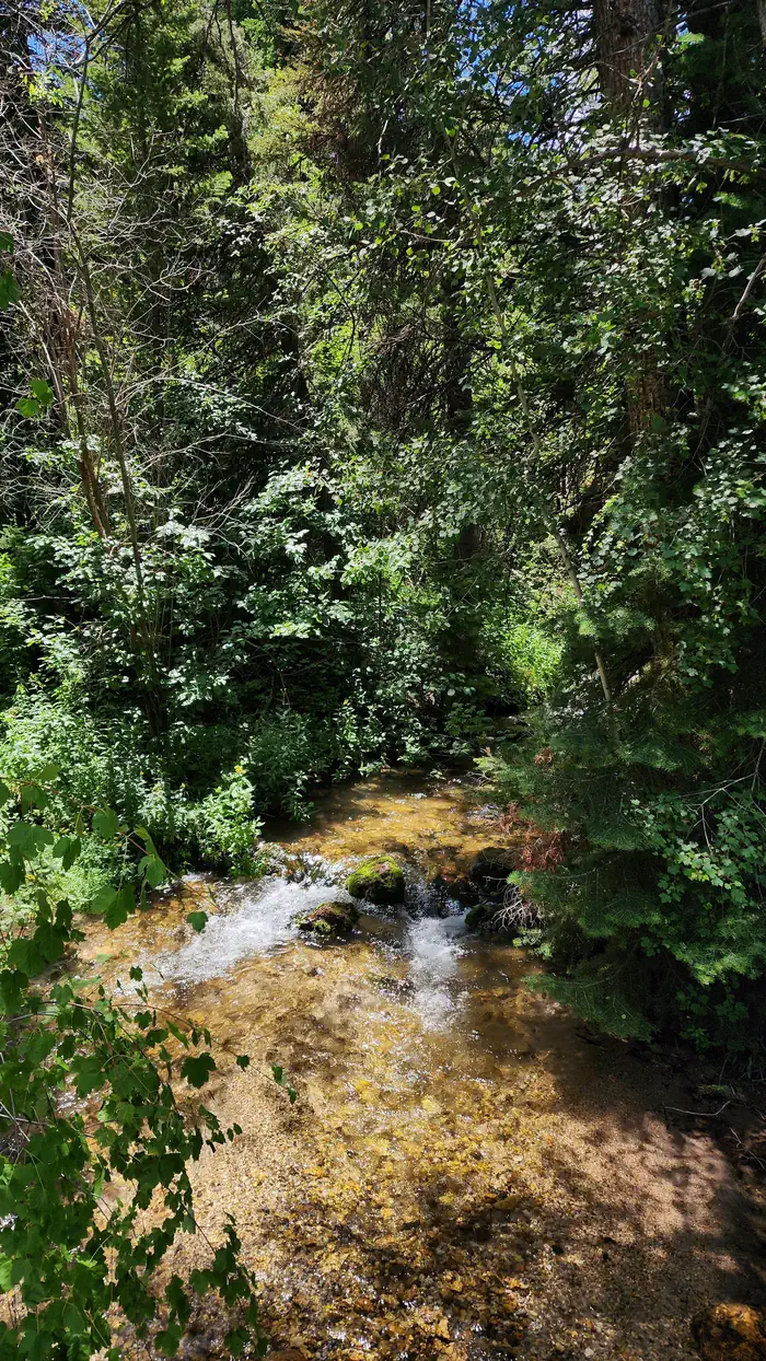 Malad Summit Campground — The creek at Malad Summit