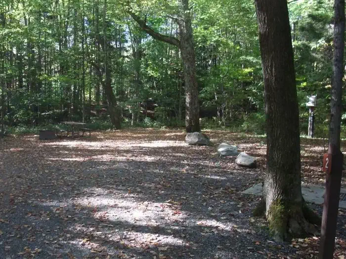 Hapgood Pond — campsite with picnic table, fire ring and gravel surfacing in wooded area