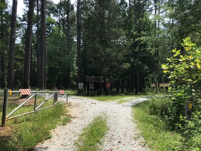 Collins Creek Seasonal Camp