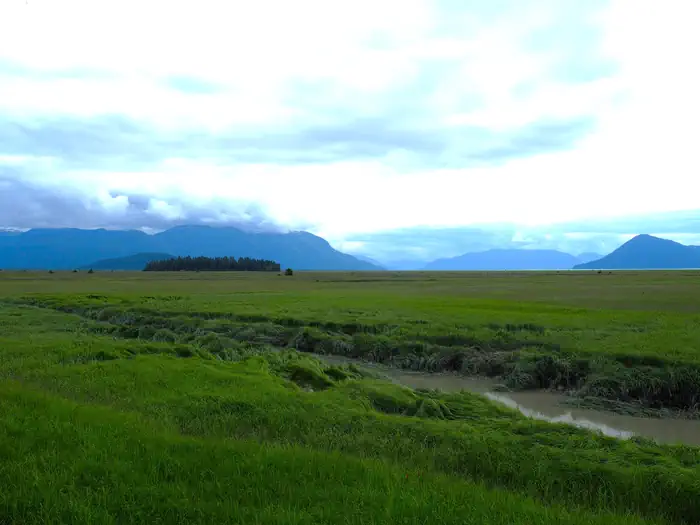 Little Dry Island Cabin — Green grassflats with mountains and clouds