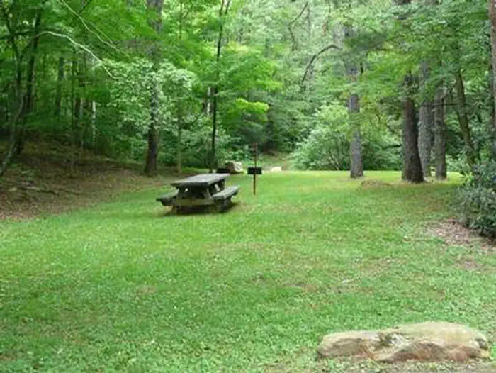 Raccoon Branch Campground — RACCOON BRANCH CAMPGROUND