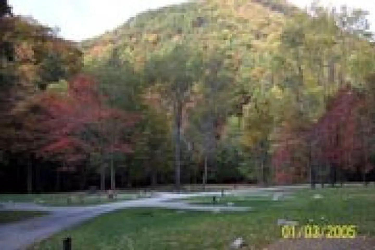 Raccoon Branch Campground — RACCOON BRANCH CAMPGROUND