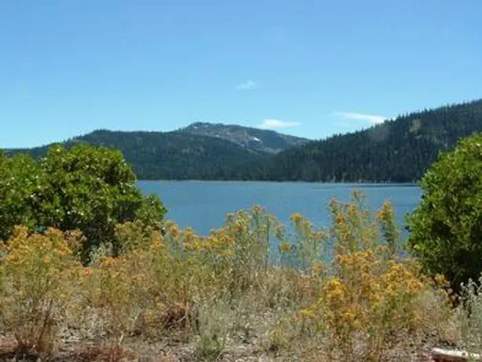 Fir Top Campground — FIR TOP CAMPGROUND