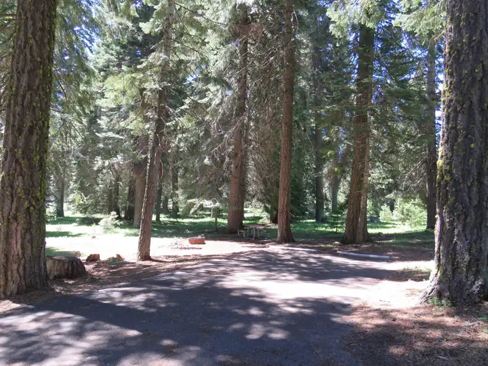 Hyatt Lake Recreation Area — Hyatt Campground Campsite