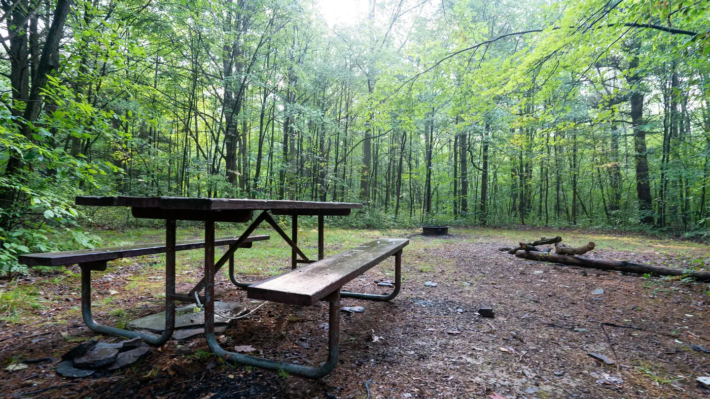 Potomac Group Campground — Potomac Group Camp 3