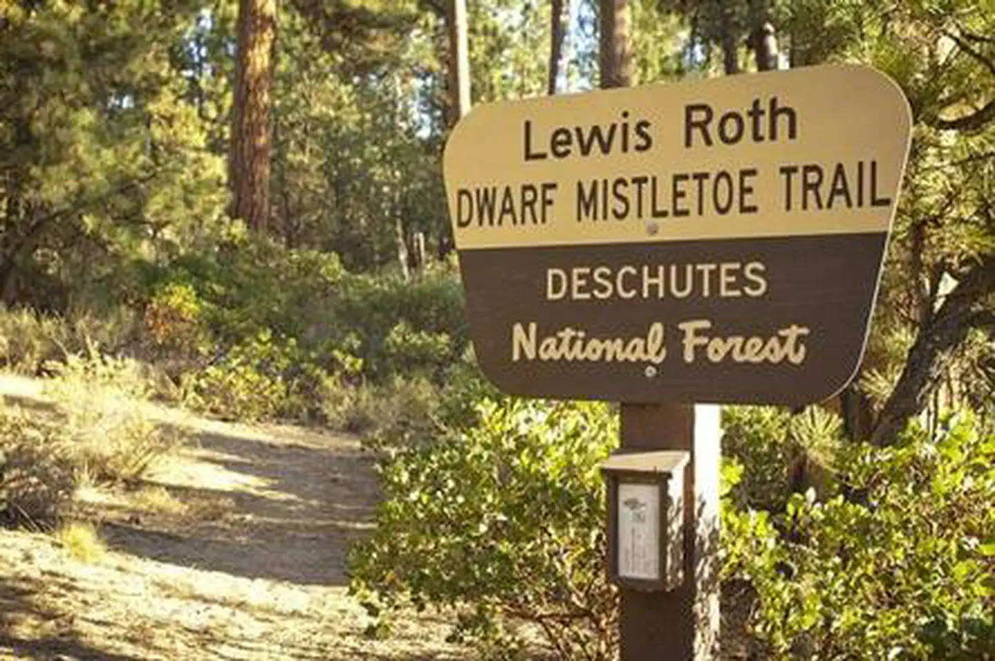 North Twin Lake Campground — NORTH TWIN LAKE CAMPGROUND