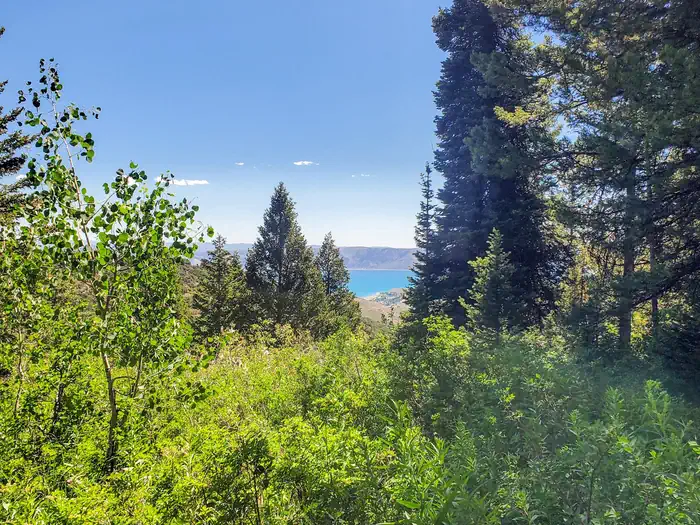 Sunrise Campground — Sunrise