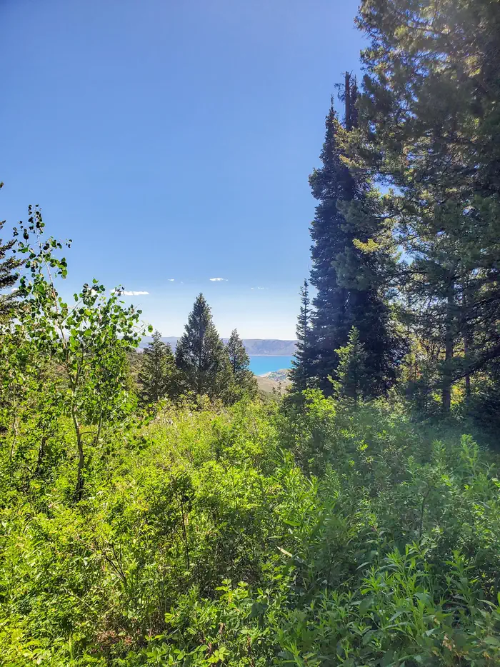 Sunrise Campground