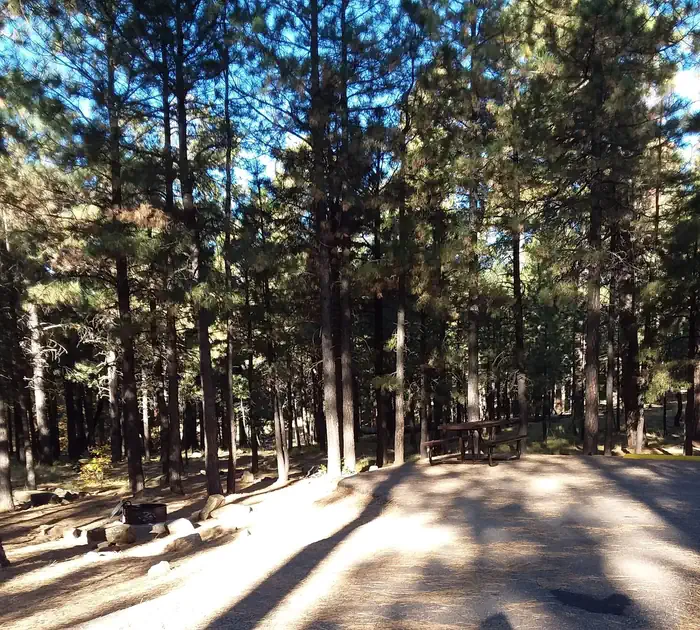 Sinkhole Campground — SINKHOLE Campground Partially Shaded Standard Site