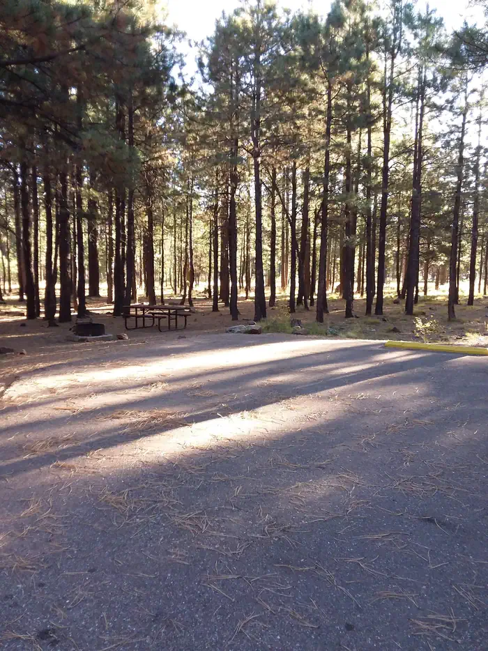 Sinkhole Campground — SINKHOLE Campground Shaded Standard Site