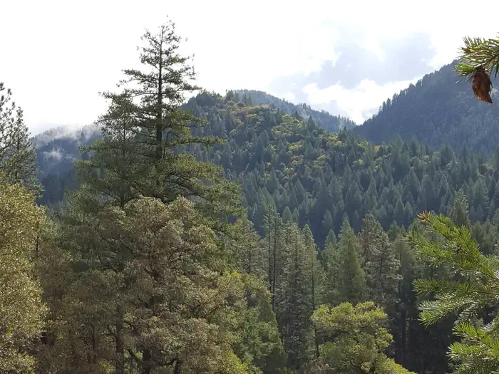 Loganville — North Fork Yuba River Canyon