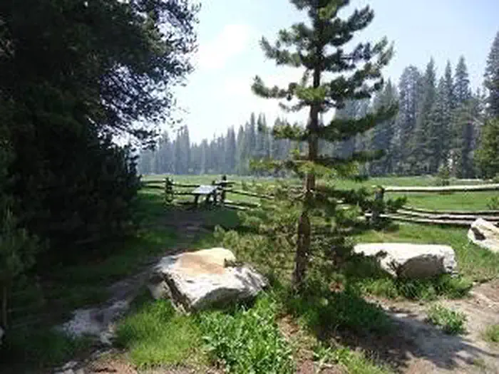 Big Meadow Campground - Us Forest Service Sequoia National Forest (ca) — Big Meadow Site view
