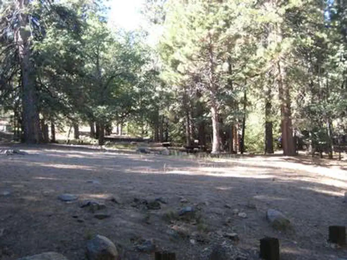 Pineknot — Natural Shade at Pineknot Campground