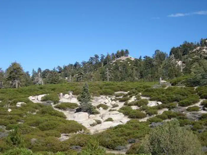 Shady Cove Group Campground — View from Shady Cove Group Campground.