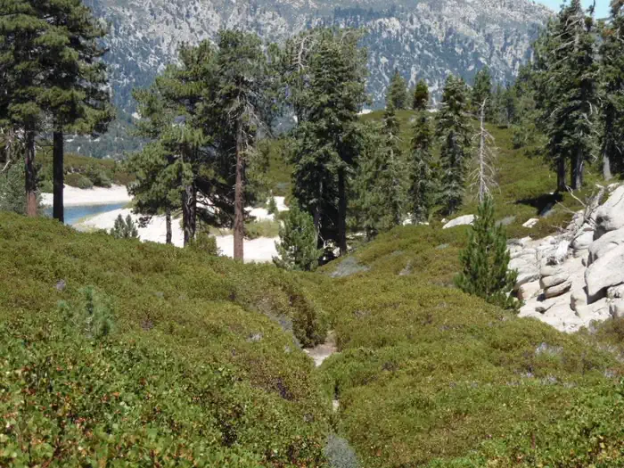 Shady Cove Group Campground — Shady Cove Trail