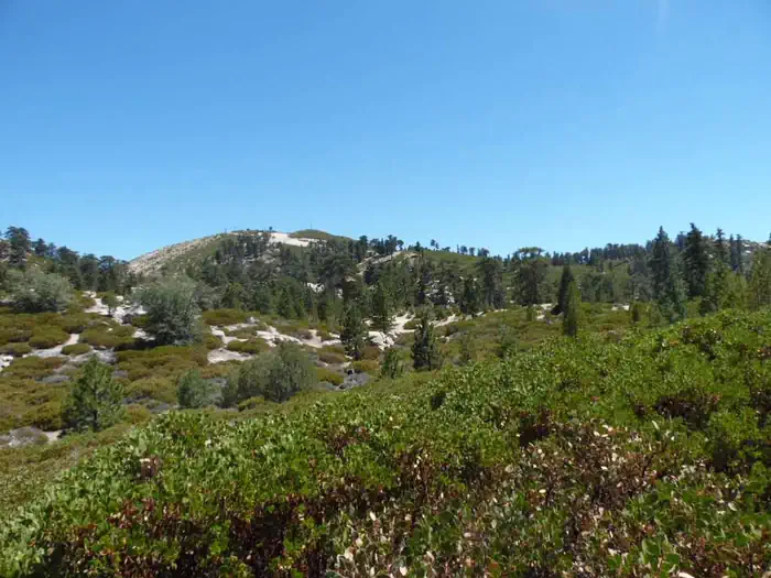 Shady Cove Group Campground — Shady Cove scenery