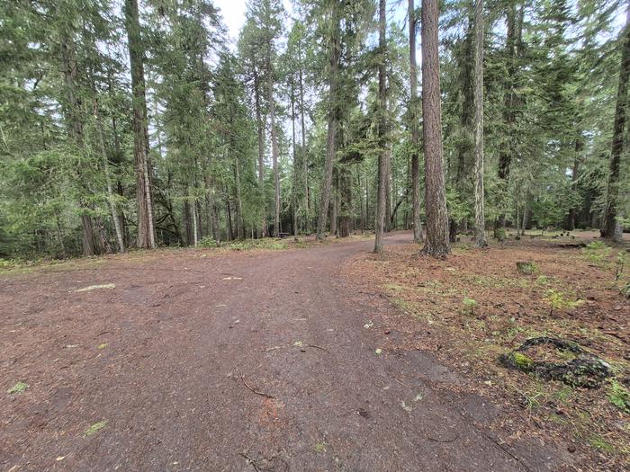 Threehorn — Threehorn Campground