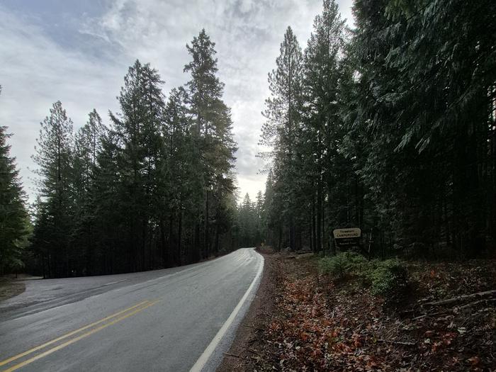 Threehorn — Threehorn Campground main road