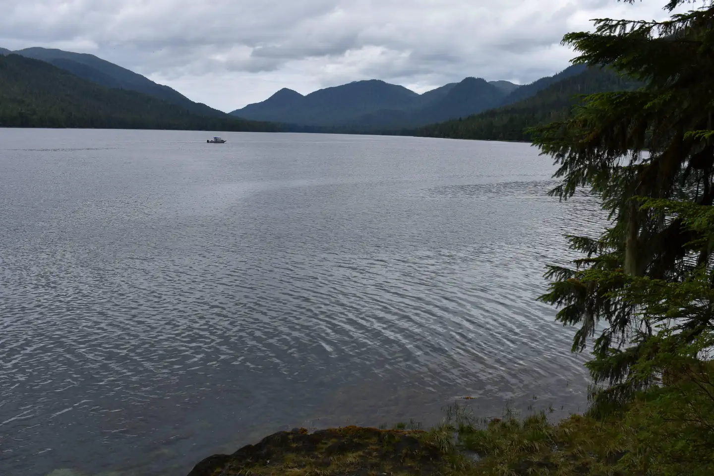Helm Creek Cabin — Helm Bay 