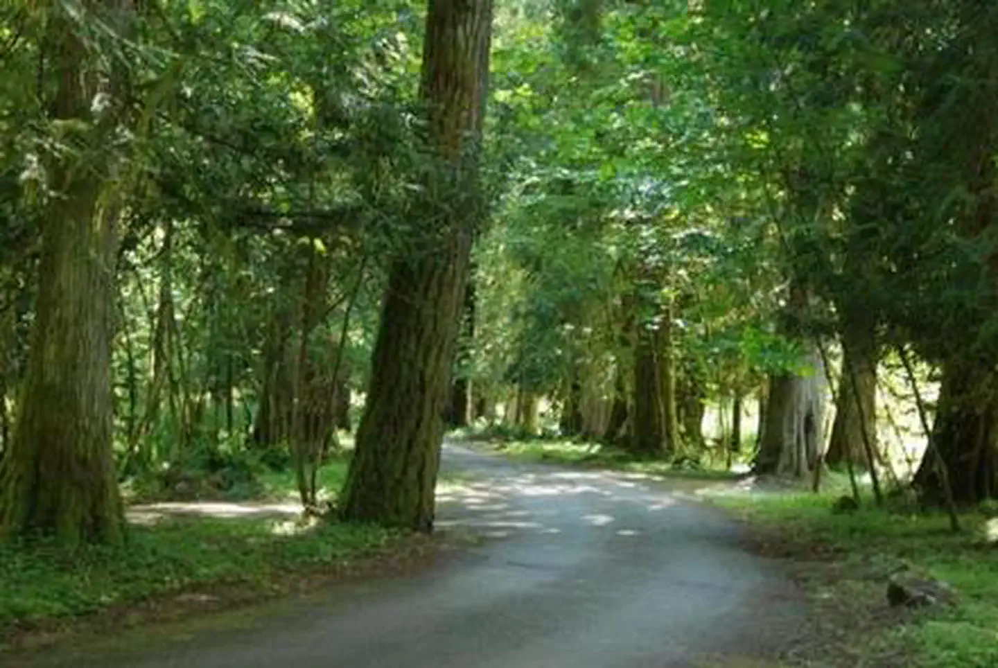 Tower Rock Campground — Tower Rock Campground